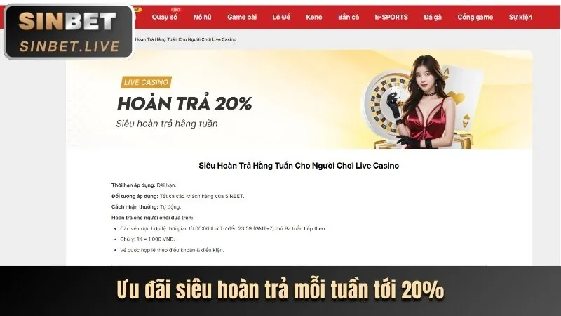 Giới thiệu về zom win và tầm quan trọng của khuyến mãi